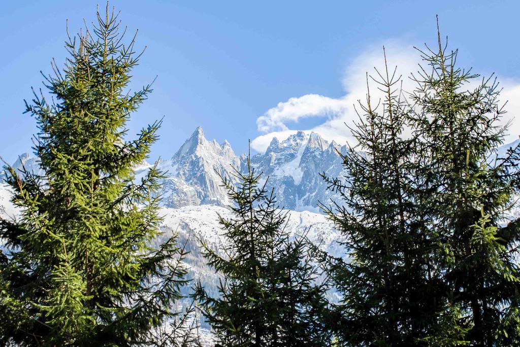 Chalet La Source - Chamonix All Year 外观 照片